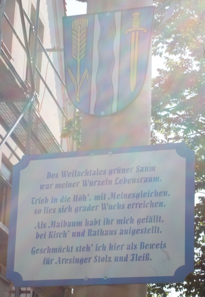 Datei:Aresing-w-ms3.jpg